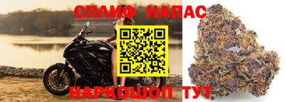 jwh Краснодар