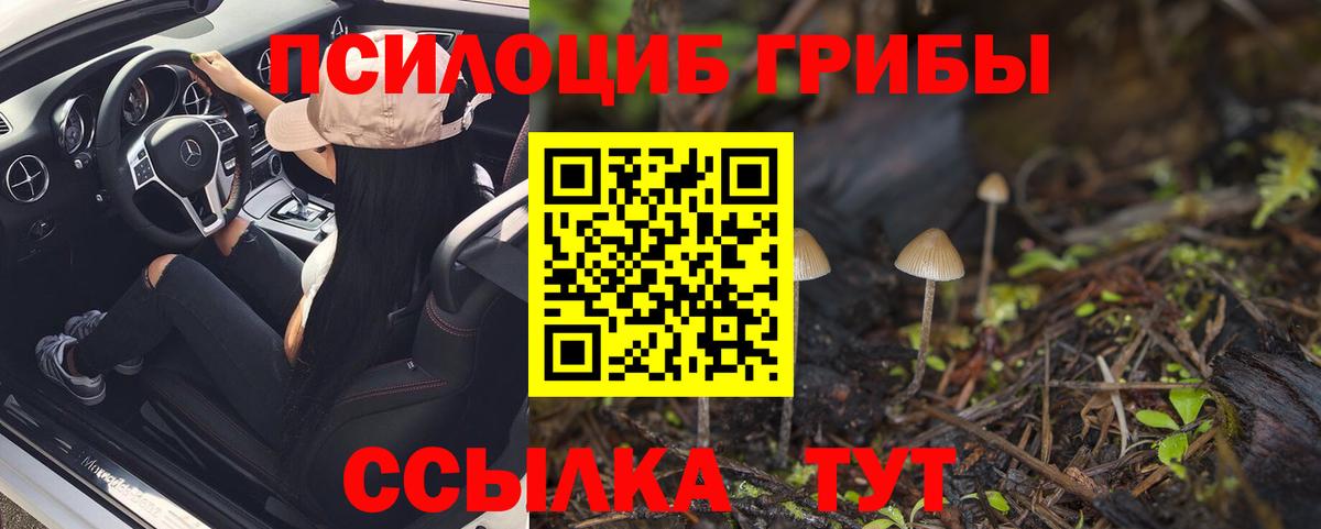 Псилоцибиновые грибы Cubensis Кимры